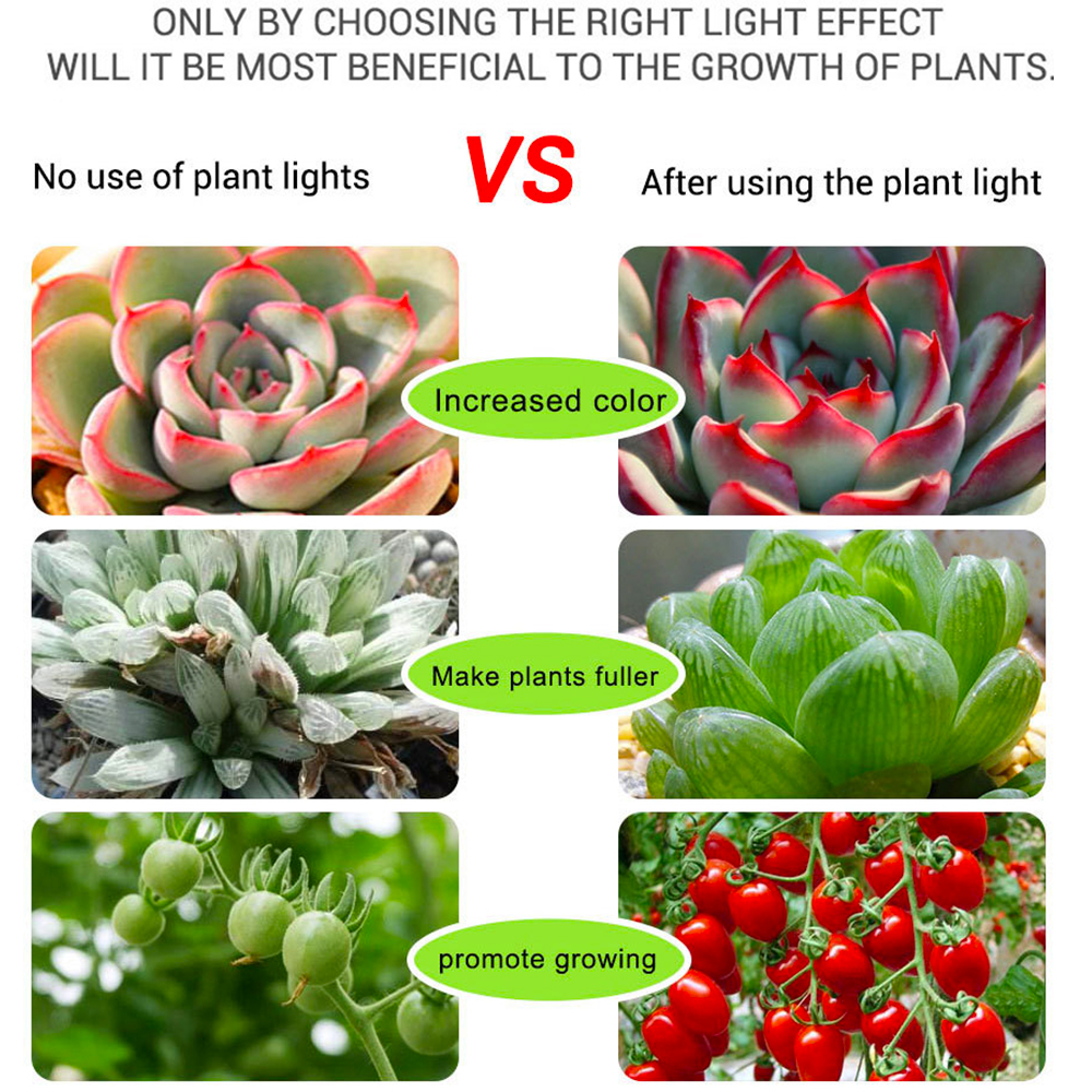 6pcs COB LED Chip Grow Light Full Spectrum Light 50W 30W 20W LED Grow Light for Greenhouse Hydroponic Flower Seeding Grow Light