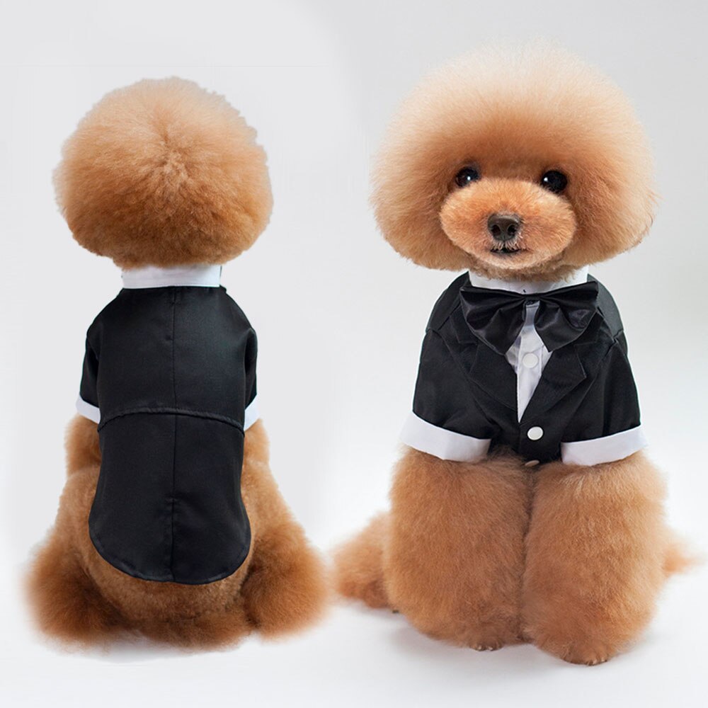 Gentleman Dog Shirt Puppy Pet Dog Clothes Pet Small Dog Cat Suit Bow Tie Costume Cat Wedding Shirt Formal Tuxedo with Black Tie