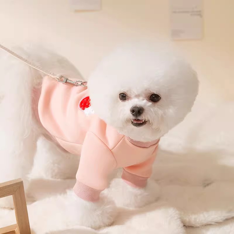 Winter Warm Pet Dog Clothes Soft Dog Hoodie Puppy Outfit Pug Chihuahua Sweater Polo Shirt Cat Puppy Coat Dog Dress Dog Costume