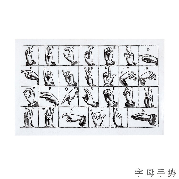 Retro Plants Leaves Flower Butterfly Decoration stamp rubber stamps for scrapbooking stationery DIY craft standard stamp: 8