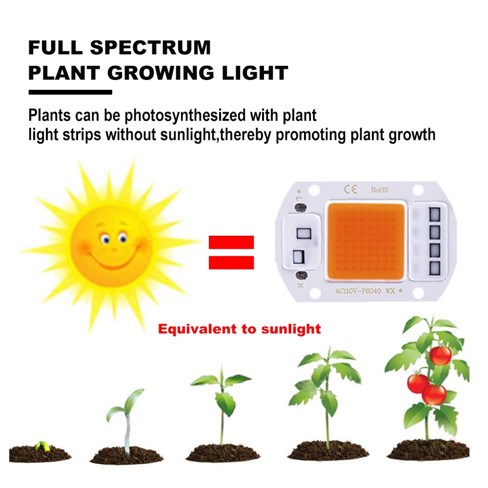 6pcs COB LED Chip Grow Light Full Spectrum Light 50W 30W 20W LED Grow Light for Greenhouse Hydroponic Flower Seeding Grow Light