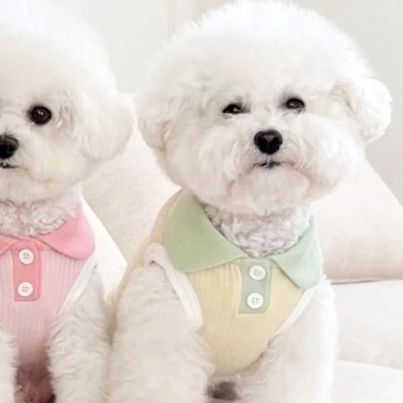 Modepoloshirt voor huisdieren Lente Zomer Ademend Casual hondenkleding Zacht, huidvriendelijk puppy-sweatshirt voor kleine en middelgrote rassen: groen / L
