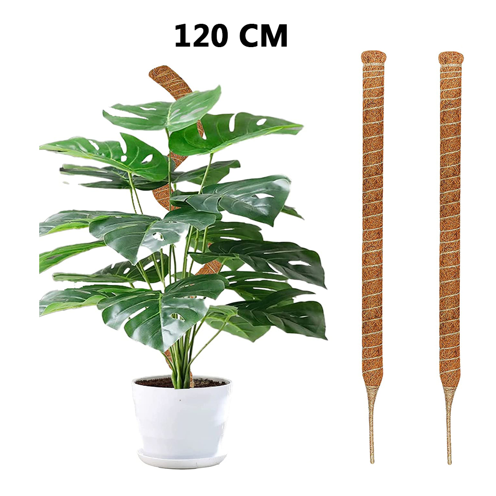 Postes de plantas flexibles DIY para plantas, palos Monstera, soporte para entrenar en interiores, para crecer hacia arriba, estacas hechas a mano para escalar: Verde