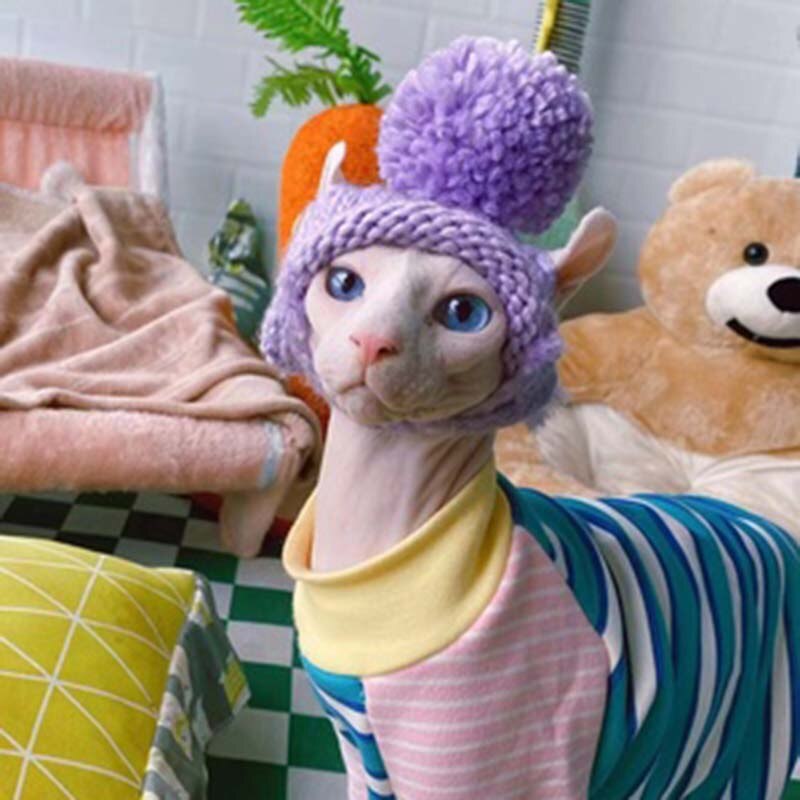 Ins Effen Kleur Pet Gebreide Muts Schattige Haarbal Warm Hond Hoed Hoofddeksel Kat En Hond Accessoires Bichon Teddy Houden warm Puppy Hoed