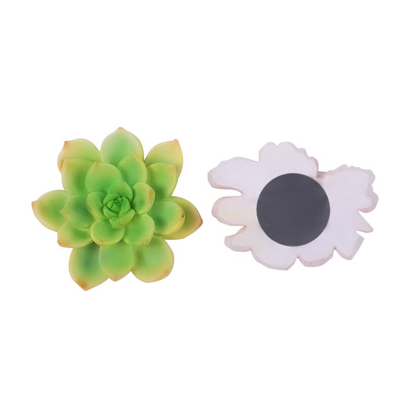 Beautiful Flowers Refrigerator Magnets Jasmine, Peony, Lotus, Rose, Sunflower, Succulent Cute Magnets for Fridge Kitchen Decor