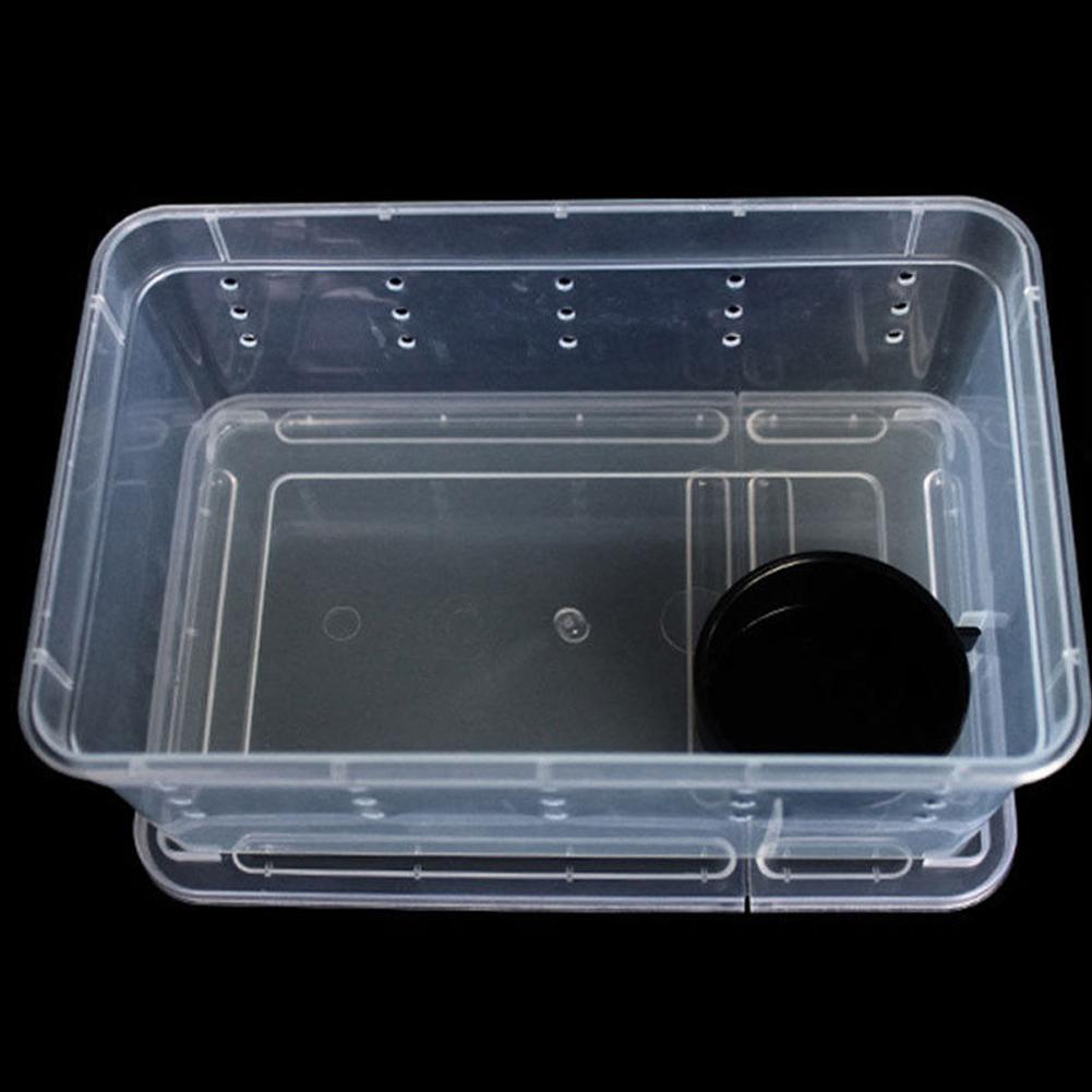 1 PCS Transparent Feeding Box Reptile Box Amphibian for Snake Cage Lizard Spider Reptile Combination: Transparent Large
