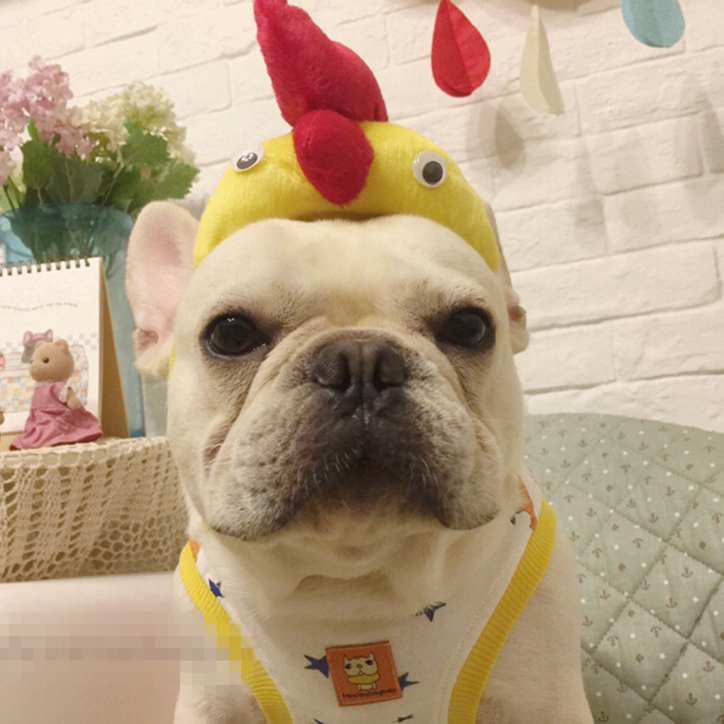 [MPK Dog Headwear] Funny Rooster and Duck Hats for... – Vicedeal