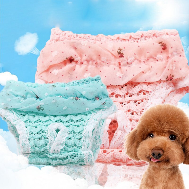 Kant Hond Sanitaire Broek Hond Luiers Dierbenodigdheden Chiffon Prinses Puppy Veiligheid Shorts Hond Menstruele Slipje