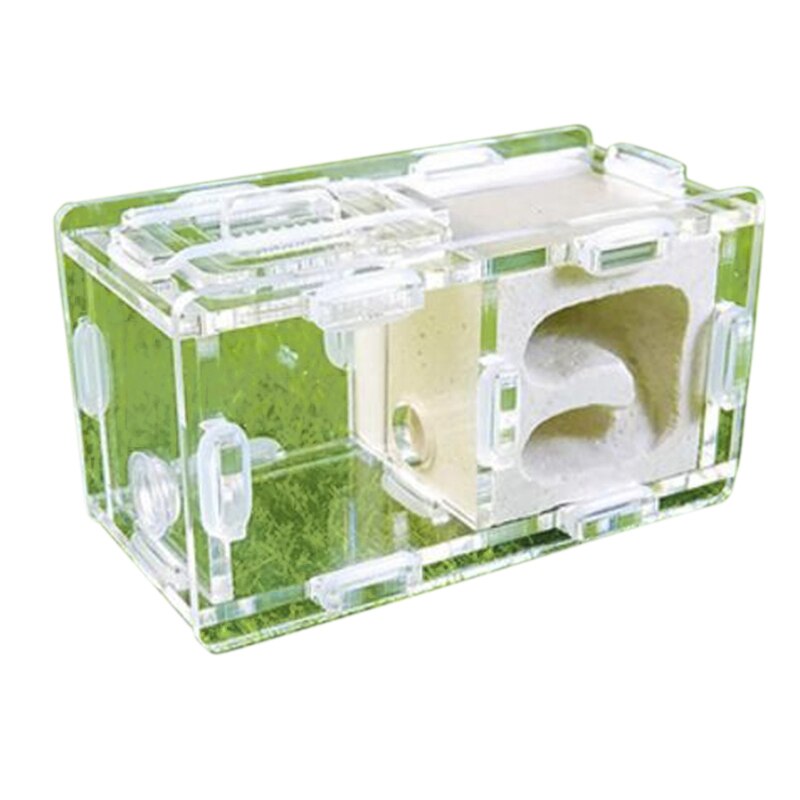 Mini Ants Nest Ant Farm Acrylic&Gypsum For Young Queens and Small Colonies Ants House Ant Home