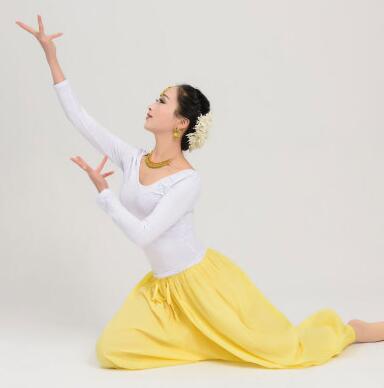 Pantalon traditionnel indien en coton pour femme, vêtement ample de danse, Style ethnique: C / XL