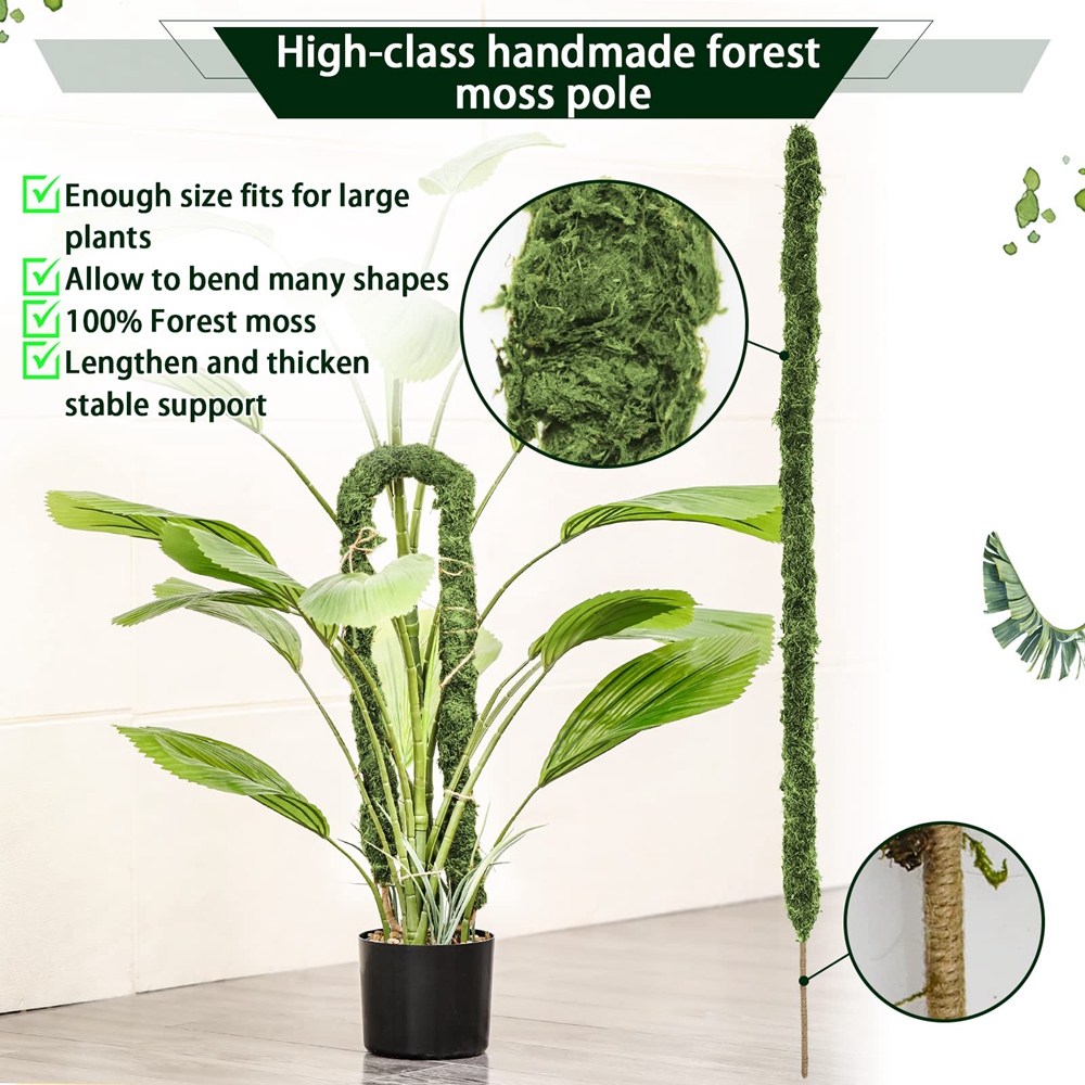 Mospaal Buigbare Plant Stakes Handgemaakte Slanke Monstera Plant Ondersteuning Mos Plant Sticks Ondersteuning voor Grote Indoor Pot