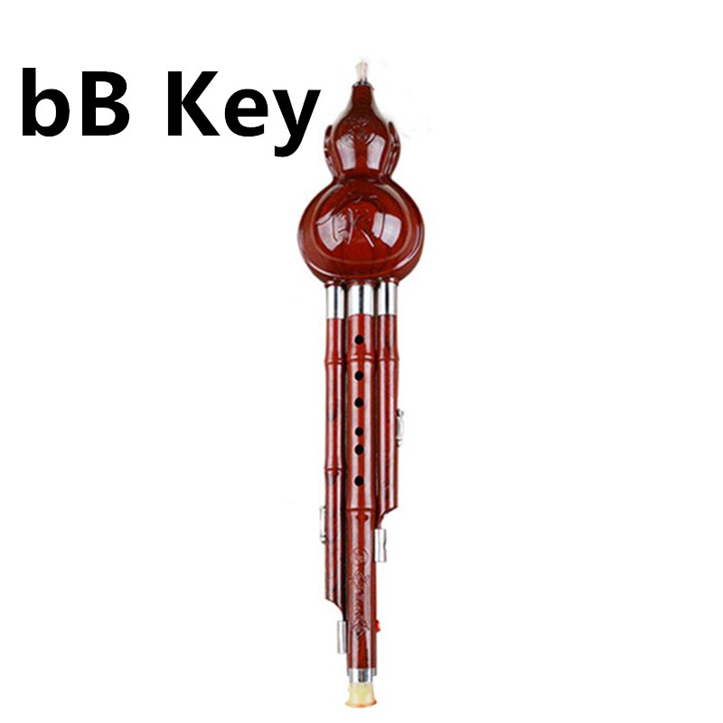 Chinese Hulusi Kalebas Cucurbit Fluit C/Bb Traditionele Etnische Chinese Muziek Instrument Met Case te Leren: Imitation Redwood bB