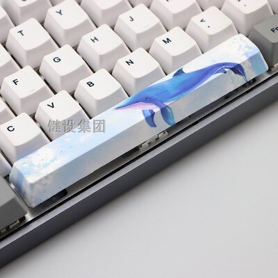 1pc PBT space key cap 6.25X 6.25U spacebar for mx switch mechanical keyboard OEM profile five-sided dye sublimation: kit 8