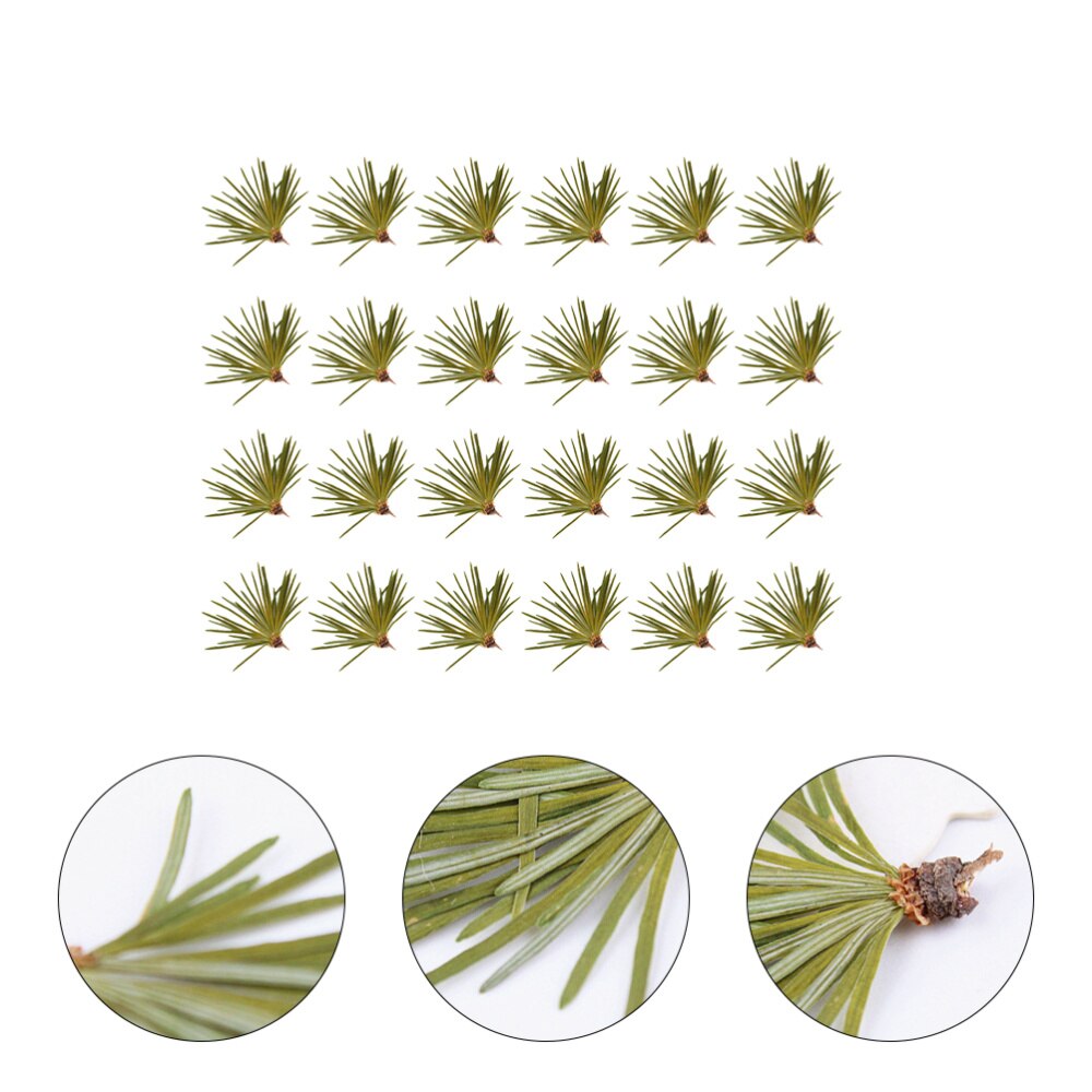 24pcs Pine Needles Leaves Dried Flowers Handmade Accessories for Home