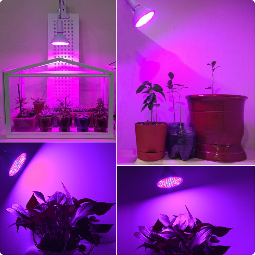 LED Growing Lamp Plant Bulb Full Spectrum LED Light Grow Clip Holder For Greenhouse Vegetable Flowers Indoor Ampoule