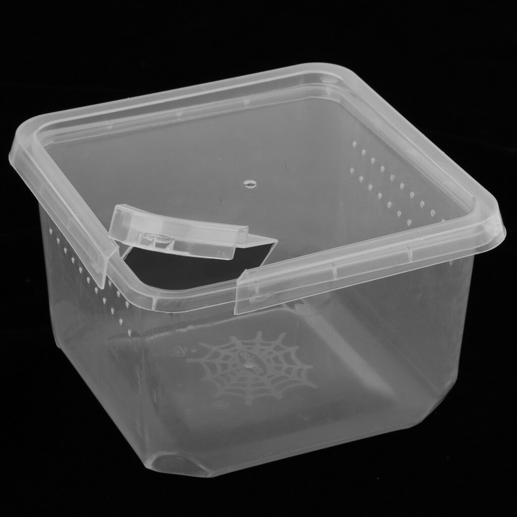 Plastic Reptile Insect Snake Spider Habitat Feeding Box Container 12x12x7cm