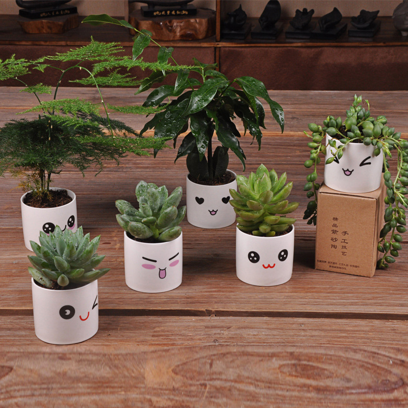 6 Styles Ceramics Planter Flowerpot Cute Expression Garden Succulent Plants Desk Flower Pot Garden Decor Ceramic Vase