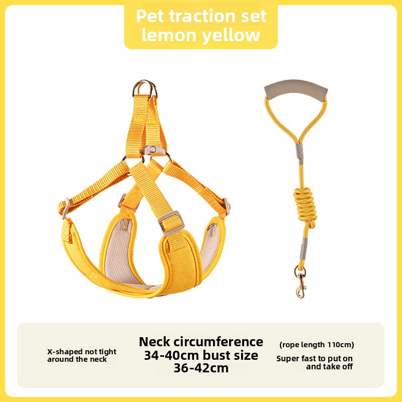 1 Uds. Correa para perro, chaleco, correa para el pecho, collar para perro pequeño, oso de peluche Pompeii, correa para perro mediano, cadena para perro