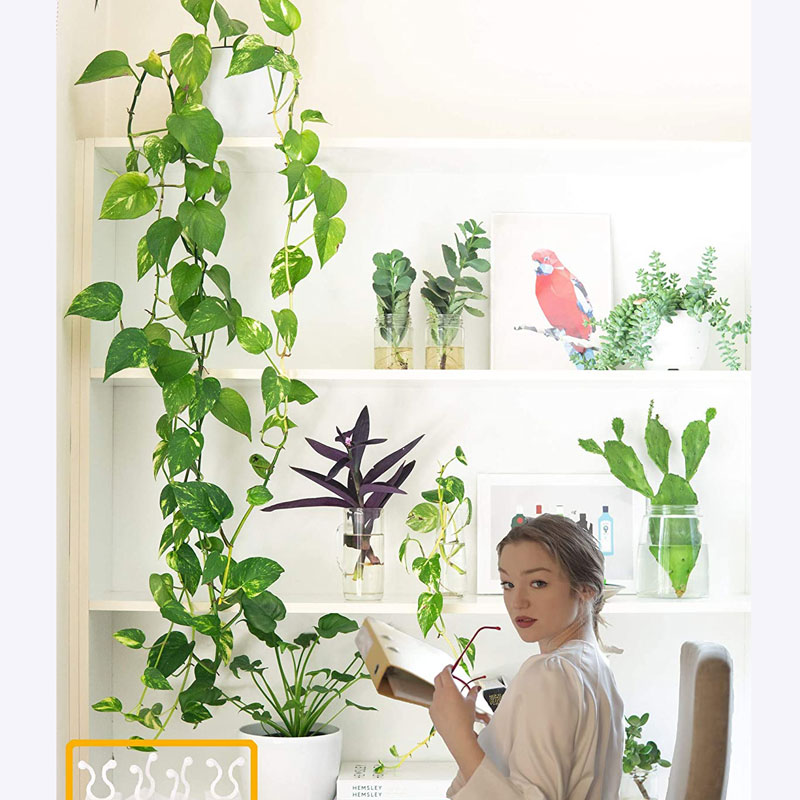 10-30PCS Plant Climbing Wall Fixture Clips Self-Adhesive Vines Holder Fixture Garden Plant Wall Vines Fixture Wall Sticky Hook