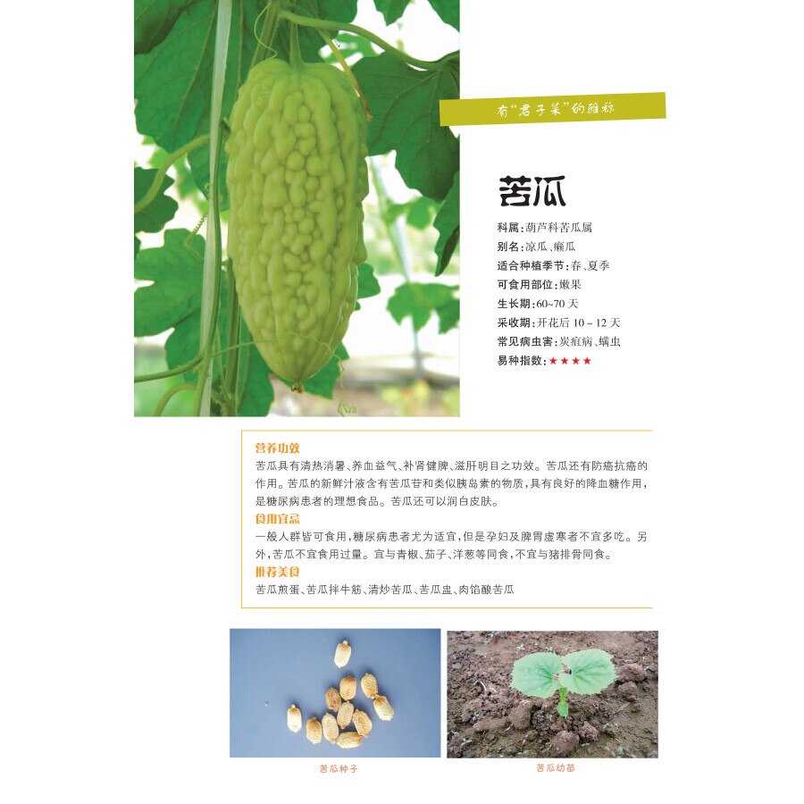 Easy to use household vegetable planting Book