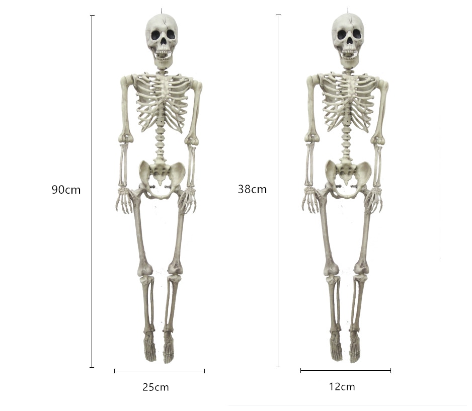 Full Size Human Skeleton Halloween Party Decoration Poseable Skull Lifelike Human Body Model Party Festival Decorations Props