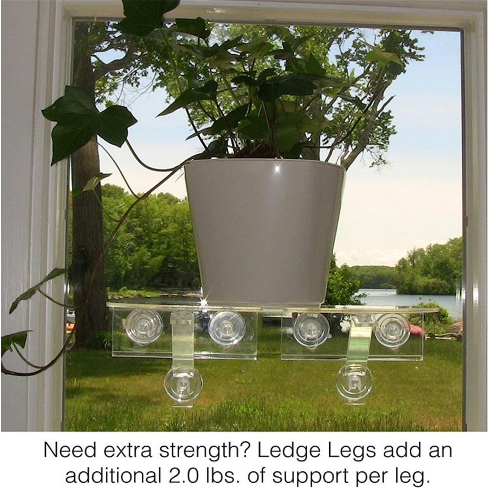 Garden Veg Bonsai Suction Cup Acrylic Ledge Window Shelf Bathroom Display Rack