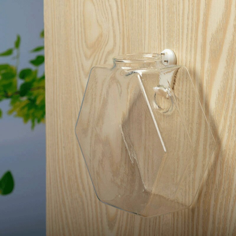 Unieke hangende bloempot, bolvormige vaas van helder glas, hydrocultuur terrarium, wand aquarium, potplant, bloem, fles, decoratie aquarium
