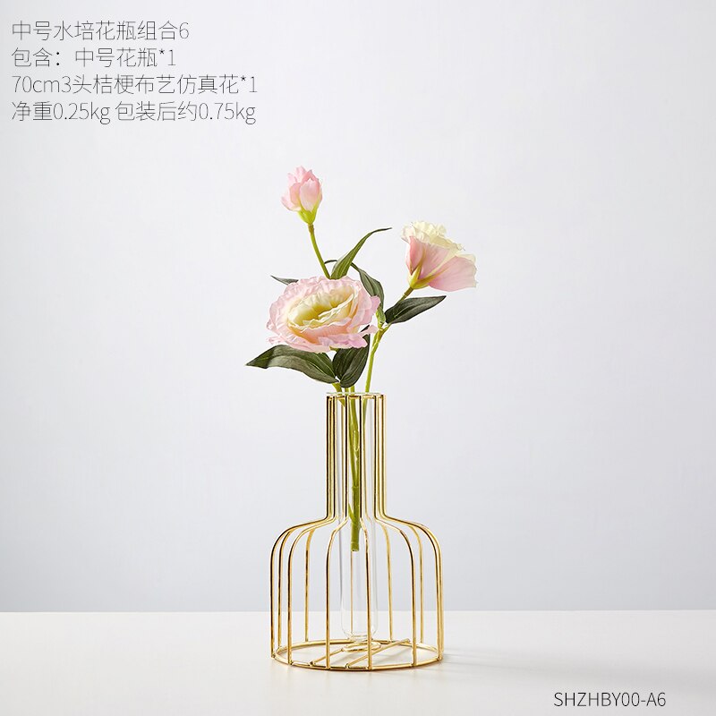 Transparante hydrocultuur glazen vaas decoratie thuis scandinavische gouden vaas vazen voor bloemen klein terrarium woonkamer decoratie: H