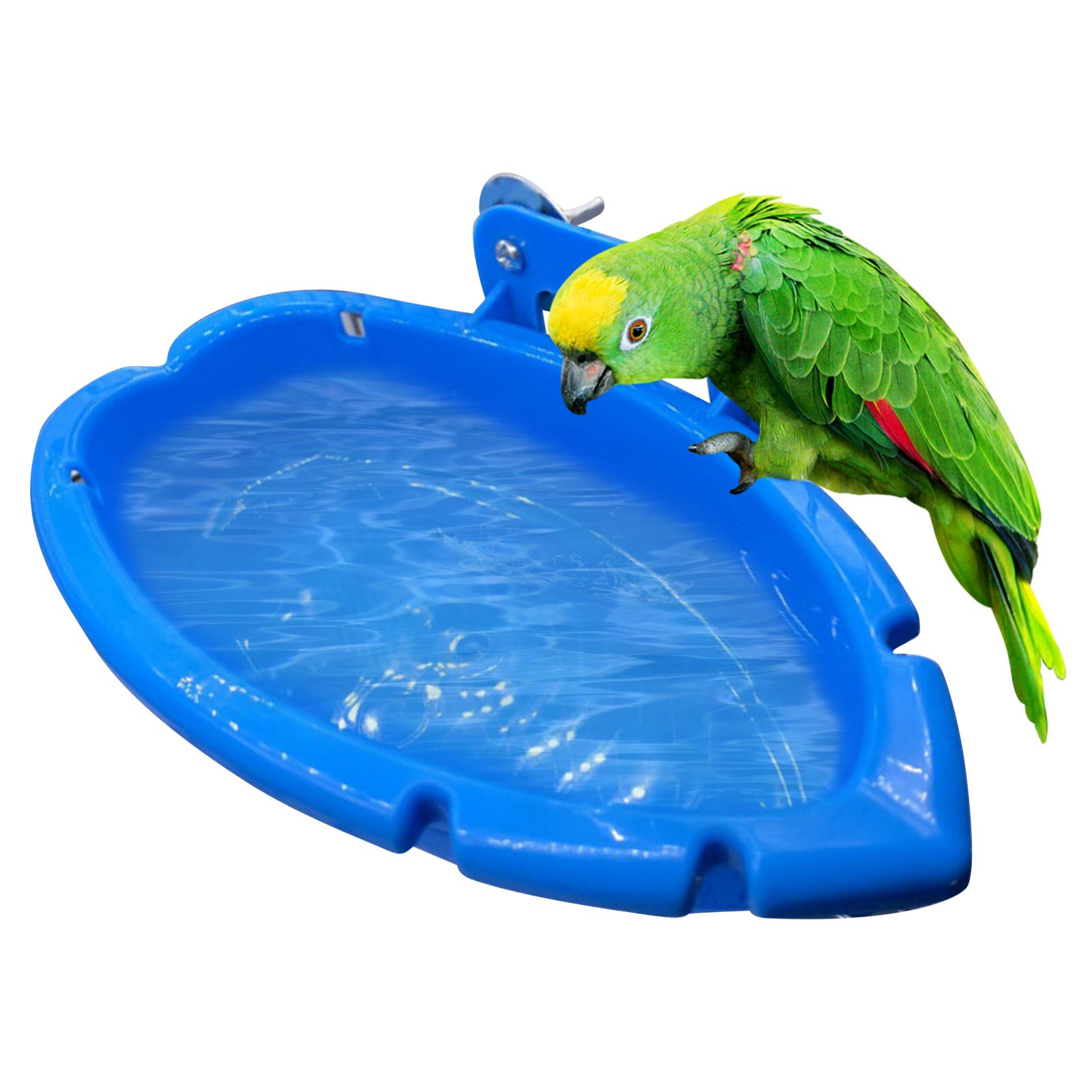 Bird Feeder Parrot Baths Tub Swimming Pool Bird Feeding Bowl Shower Basin Parrot Cage Hanging Bathing Box Birds Accessories