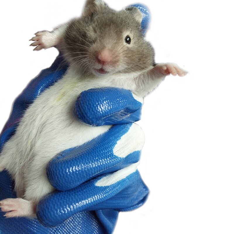 1 par gummihandsker kæledyr hamster anti bid badning små dyre bløde tilbehør