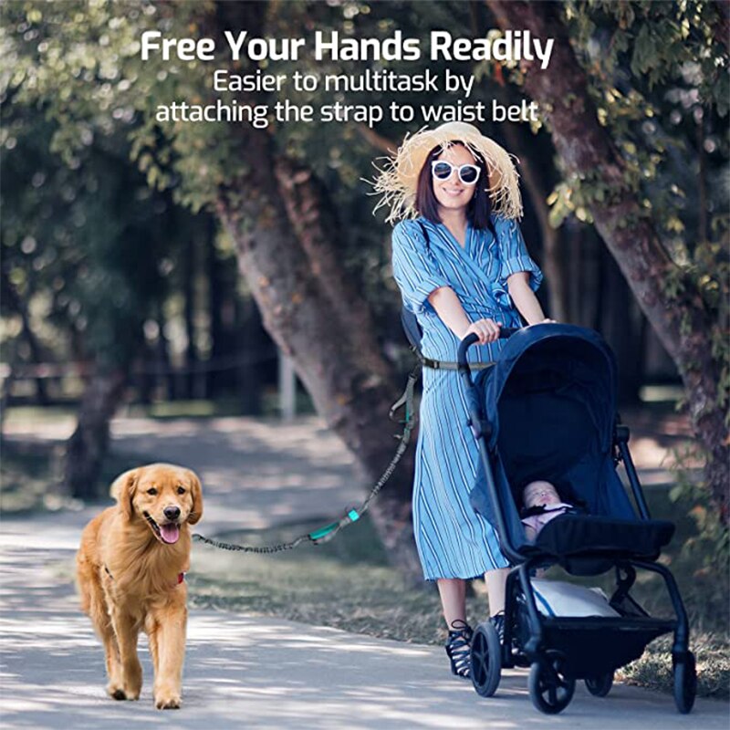 Pet Dog Running Leashes Reflective Traction Rope Belt Elastic Hands Freely Jogging Pull Dog Leash for Medium Large Dog Supplies