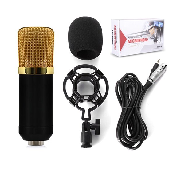 BM 700 Wired Handheld Microphone 3.5mm Condenser With Shock Mount Microphone For Recording Computer Microfono BM700: Gold With Box