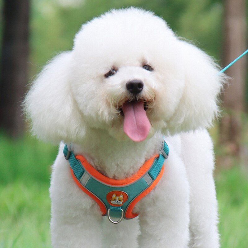 Breathable Small Dog Harness And Leash Cloth Safety Mesh Chest Strap Collar For Kitten Cat Chihuahua Pug Bulldog Cats Vest