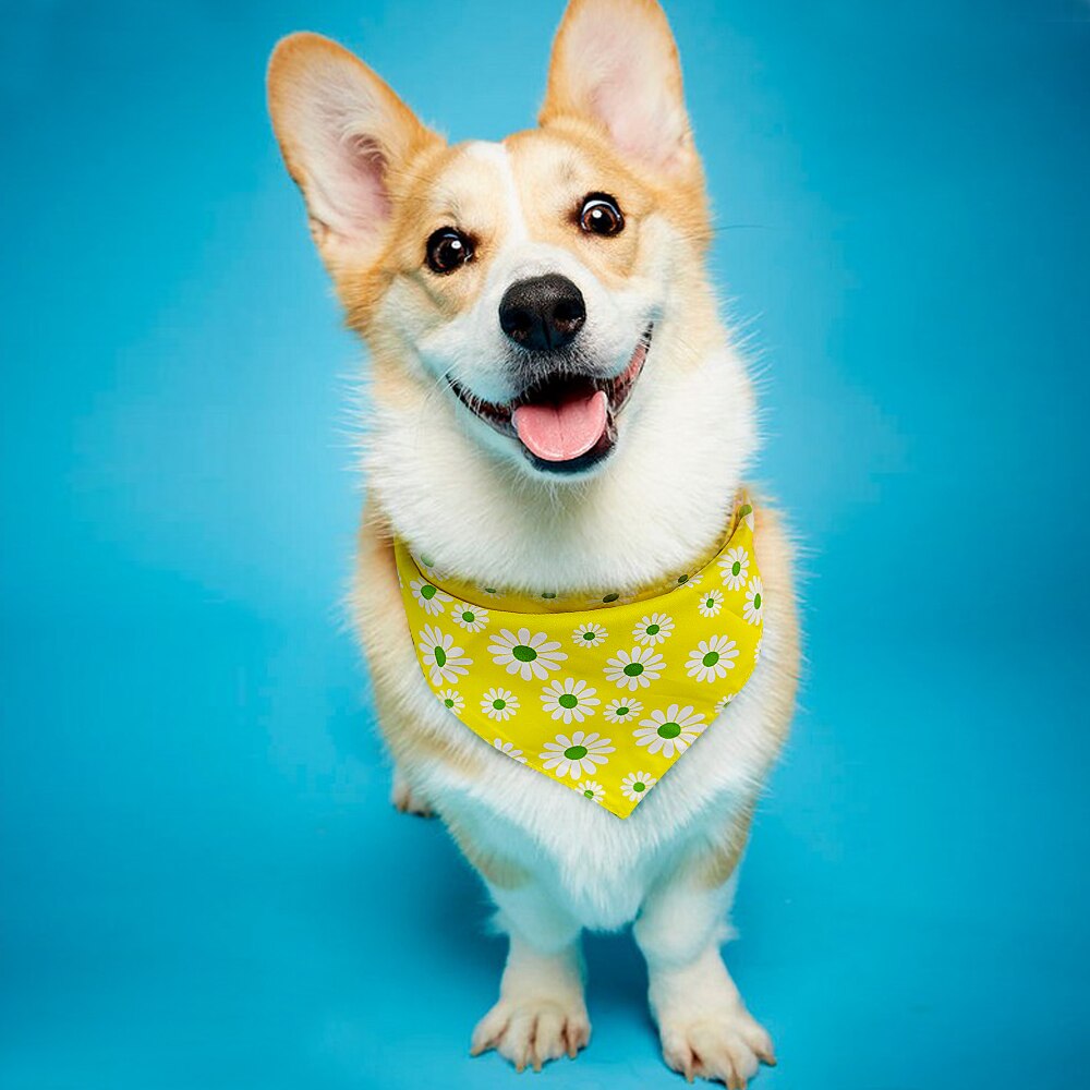 Bandana d'halloween anniversaire pour chien, bavoir de noël pour chien, marguerite, chat, accessoires pour animaux de compagnie, petit, moyen et grand gabarit