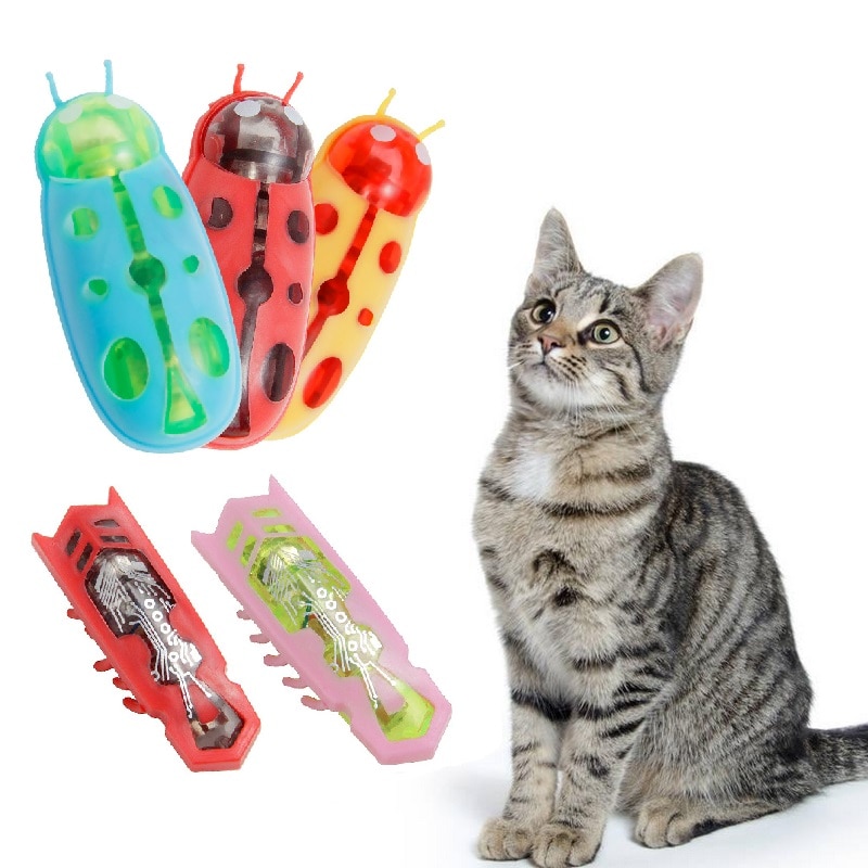 Jouet électrique à bascule automatique pour animal de compagnie, jouet à piles, amusant et vibrant, disponible en plusieurs couleurs