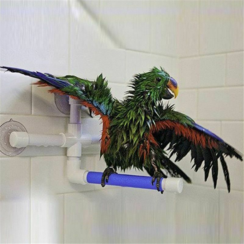 Estante para loros, ducha de baño grande para aves, juguetes de plástico de pie, jaula para mascotas, accesorios: Default Title