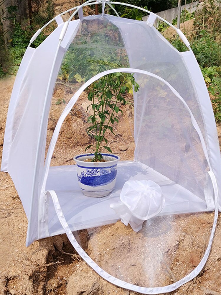 Mini serre multifonctionnel plante isolation hangar insecte-preuve tente insecte Cage intérieur et extérieur # W0