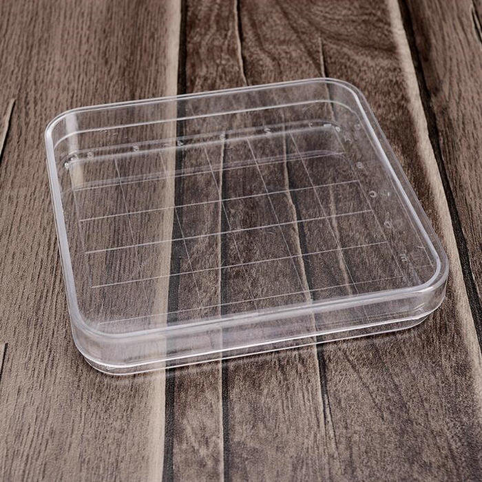 10Pcs Clear 10*10Cm Geschaald Vierkante Plastic Petrischaal Met Deksel, Cultuur Schotel