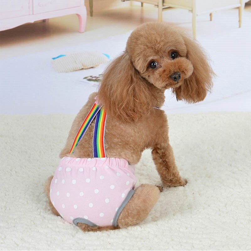 Short de chien hygiénique de | Joli Short pour chien, pantalon court pour chien physiologique, sous-vêtements confortables, pantalon pour chiot féminin pour animaux de compagnie