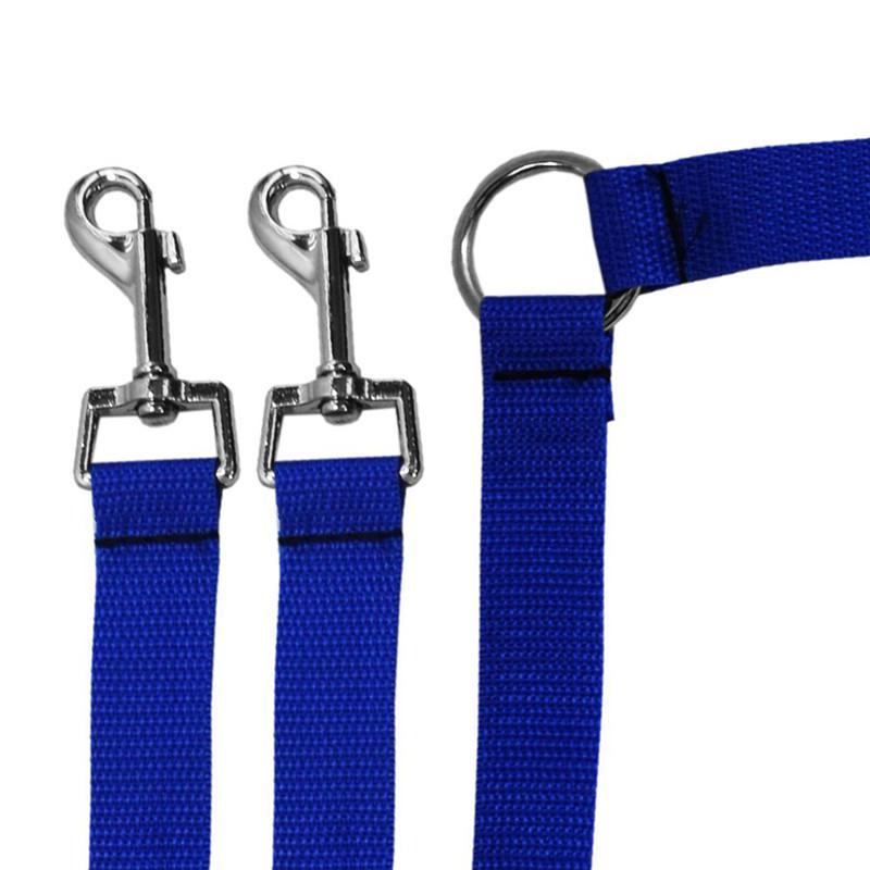 Correas dobles de nailon para pasear perros, correa de 2 vías con Collar para cachorros, correa de plomo de tracción para perros pequeños, accesorios para perros pequeños: Azul