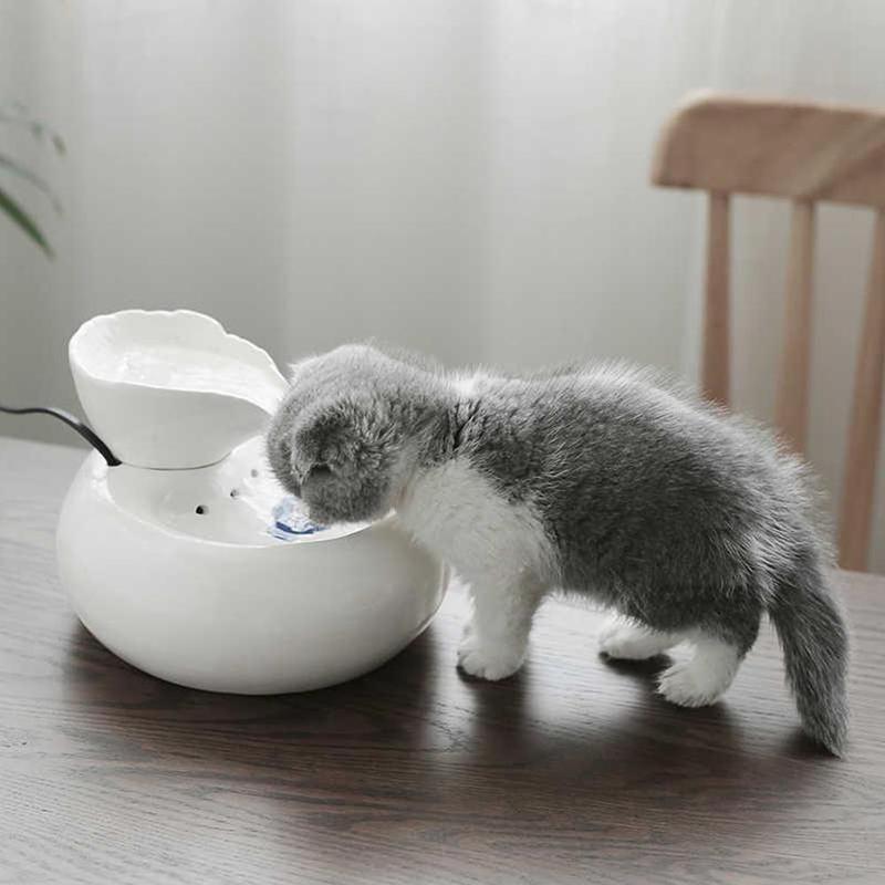 Haustier Zubringer Trinken Schalen Hund Katze Wasser Spender Katze Spender Brunnen Wasser Hund Durchblutung Becken Automatische Trinker Wate U3R0