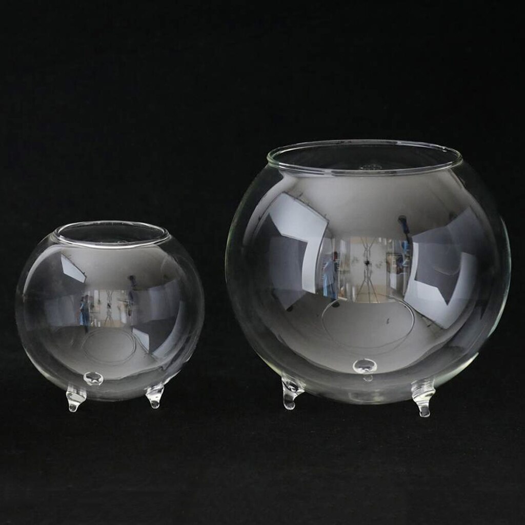 Clear Glass Flower Vases Fish Tank Ball Bowl Flower Planter Hydroponic Pot