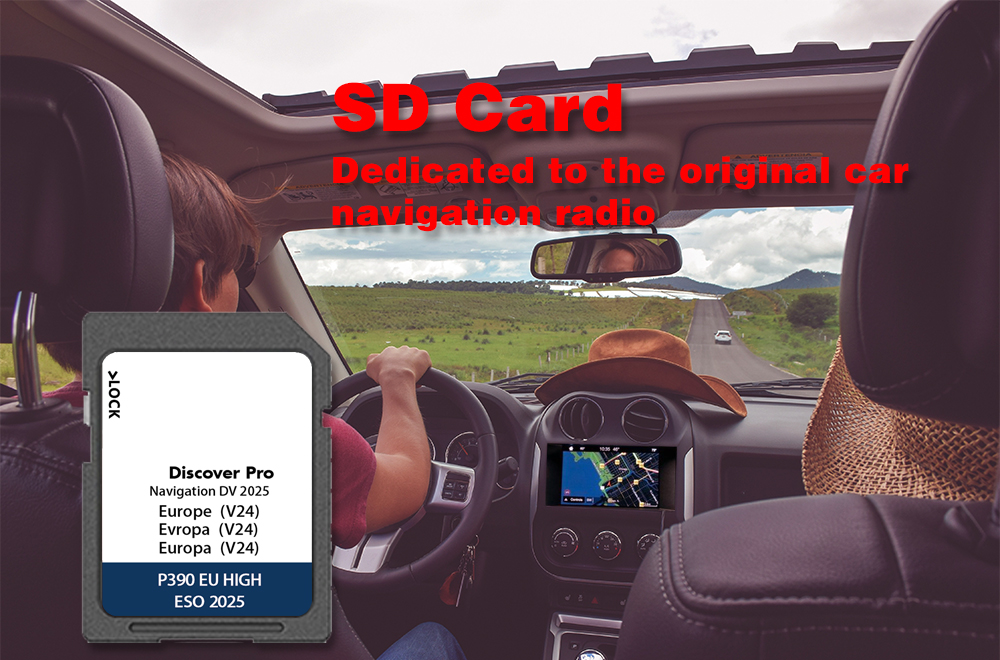 64 Go Pro Discover Media Navigation Sat Nav DV V24 GPS Carte SD Europe Naving Map Navi Accessoires