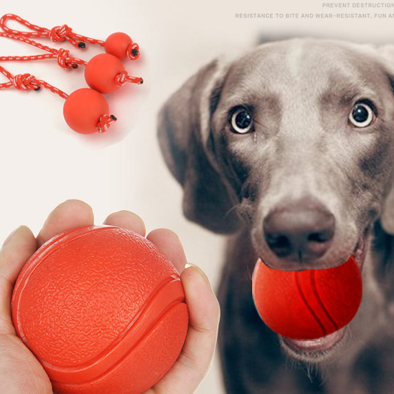Pelota de entrenamiento para mascotas, equipo de entrenamiento para perros grandes, pastor alemán al aire libre, juguetes para Pies, Akcesoria, suministro para perros EH50DT