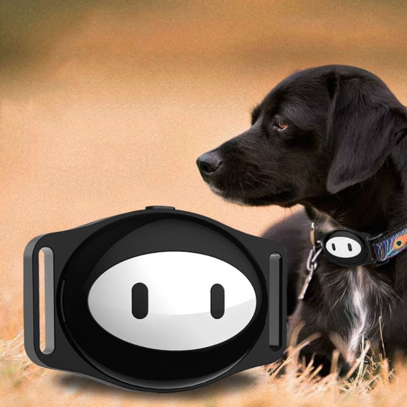 Pet Locator Intelligence GPS Location Waterproof Tracker Collar Geo Standby Dog Cat Puppy Finder Alarm Voice App Wholesalse