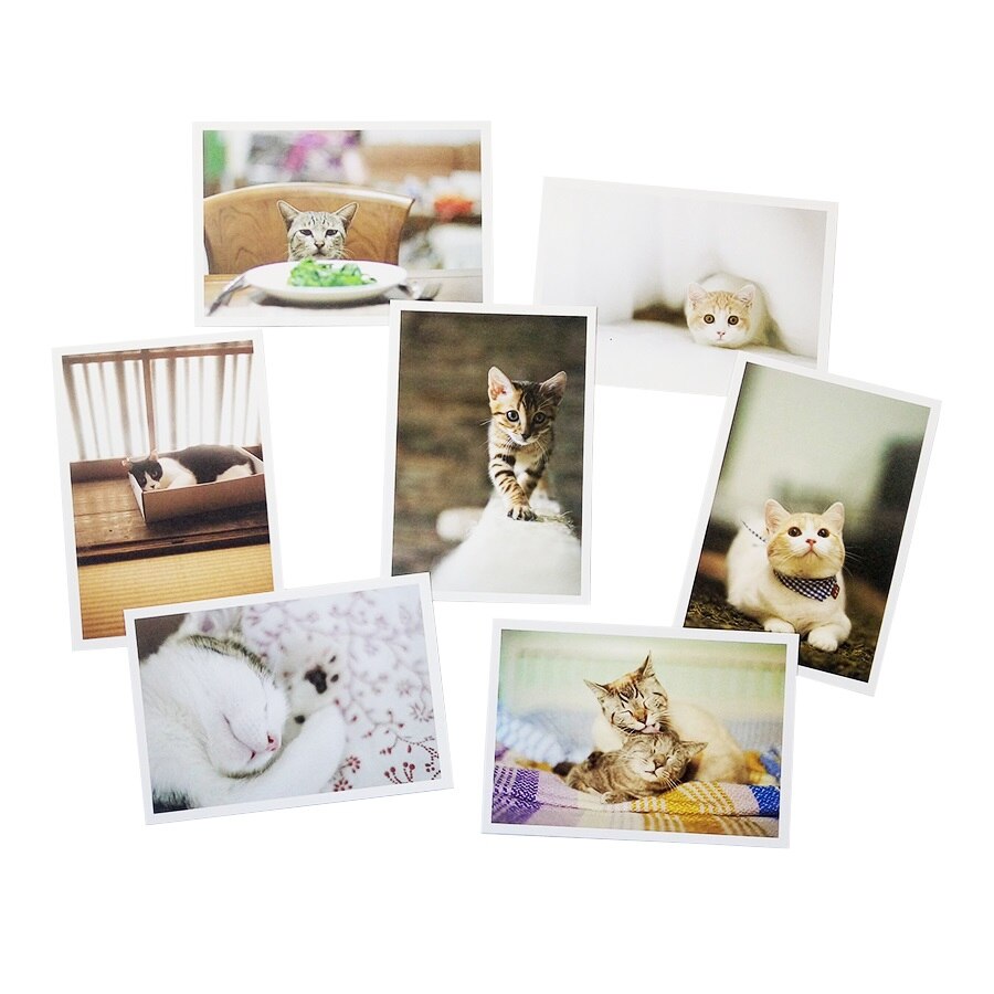 28 stk/mye kawaii søt tegneseriekatt serie postkort gruppeinvitasjon gratulasjonskort ønskekort kort kontorpapir