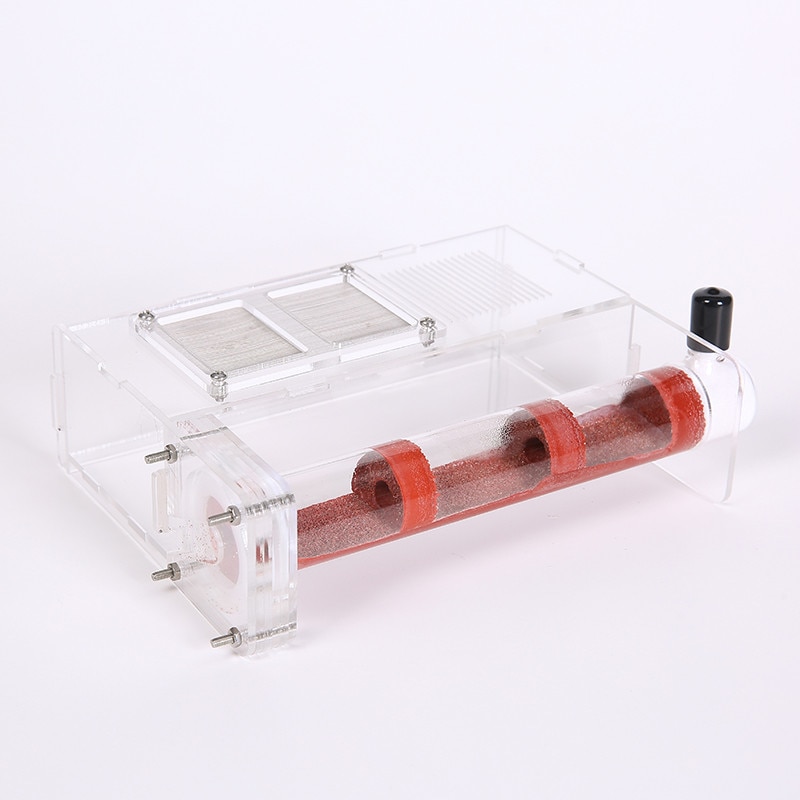 Koeputki kosteus iso tila muurahaispesä, muurahaisfarmi akryyli, hyönteismuurahaiset huvila talon muurahaiset ekologinen työpaja