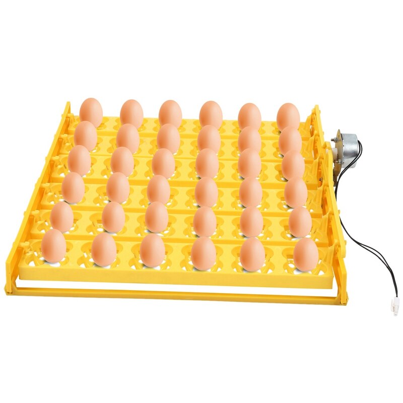 Mini Ei Incubator Automatische Temperatuur Vochtigheid Controle 4 Eieren Candler Gevogelte Uitkomen Machine Kippen Eenden Duiven (Automatisch draaien