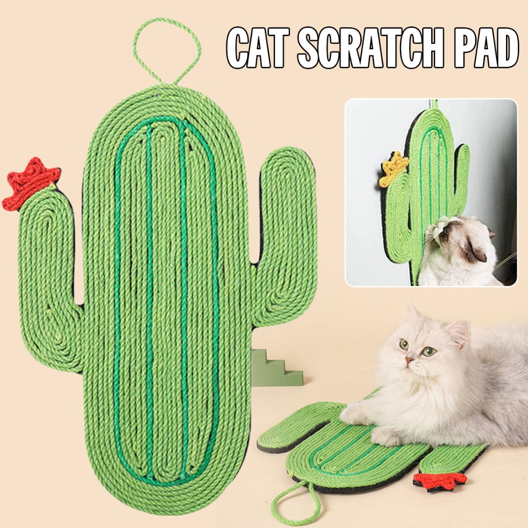 Katze Kratzen Bord Haustier Spielzeug Kaktus Gut P...  Grandado