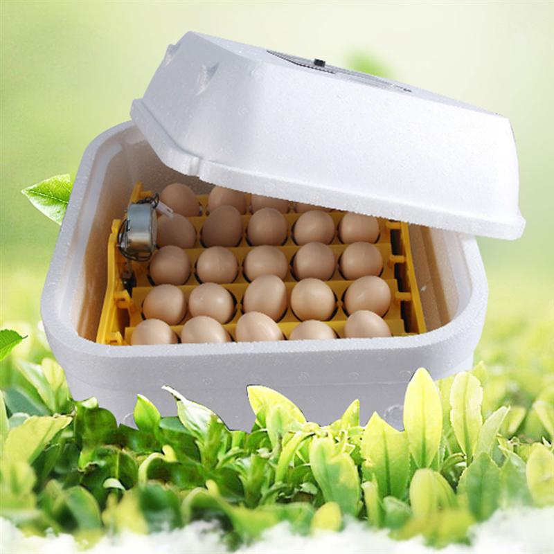 36 Grids Poultry Hatchery Machine Hatching 7 Brood... – Grandado